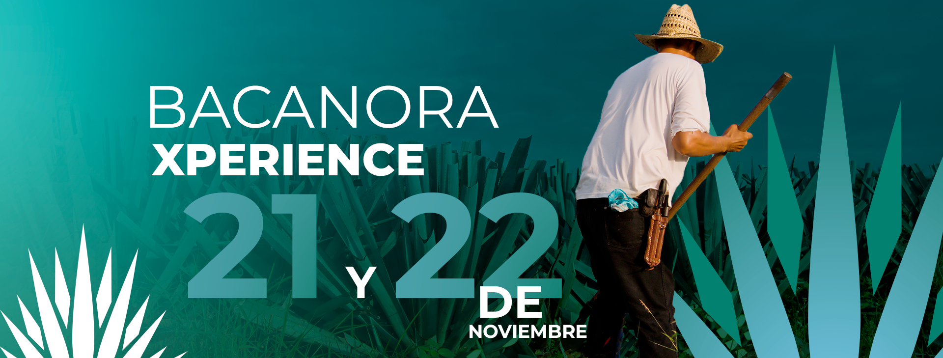 benner_fechas_adaptado